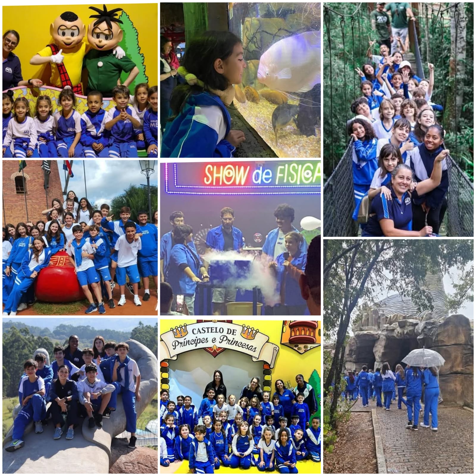 Featured image for “COLÉGIO META: APRENDIZADO VIVO E SIGNIFICATIVO”